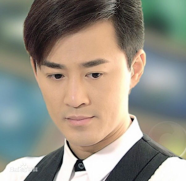 高清林峯/林峰(LAM Raymond)在《谈情说案》景博中的图集