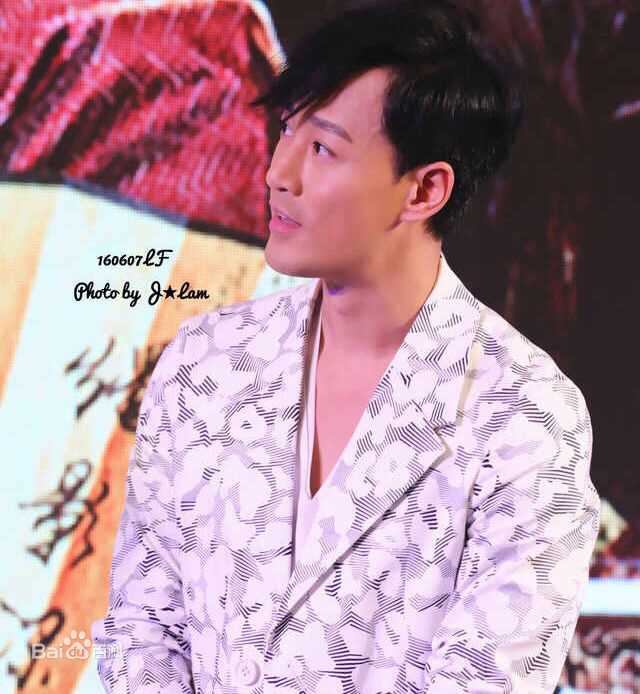 林峯/林峰(LAM Raymond)发布会壁纸壁纸