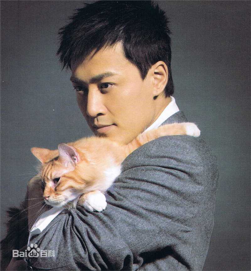 林峯/林峰(LAM Raymond)高清唱片封面图册