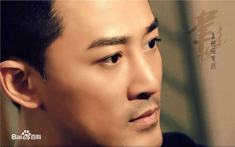 林峯/林峰(LAM Raymond)壁纸图片图册