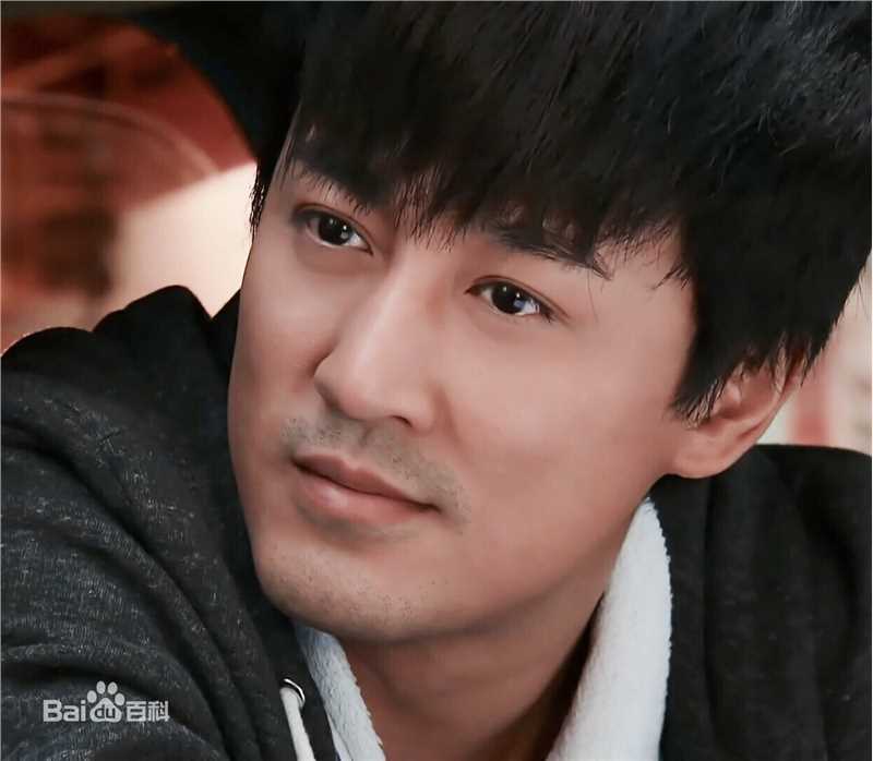 精选林峯/林峰(LAM Raymond)在《使徒行者》爆seed中的图册