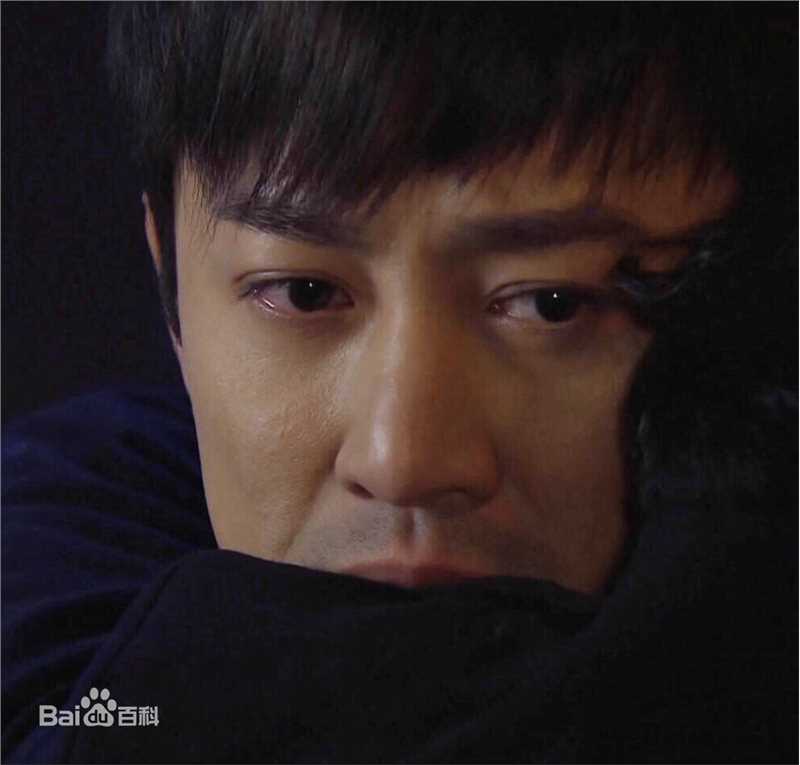 精选林峯/林峰(LAM Raymond)在《使徒行者》爆seed中的图册