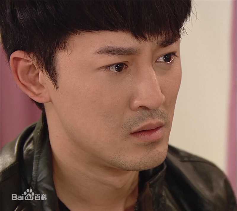 精选林峯/林峰(LAM Raymond)在《使徒行者》爆seed中的图册