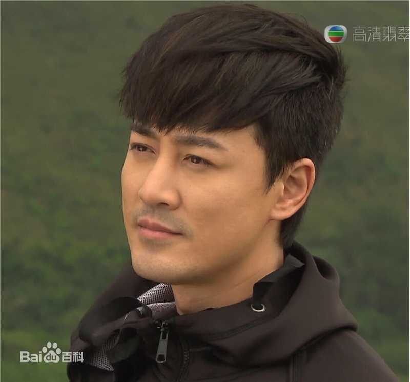 精选林峯/林峰(LAM Raymond)在《使徒行者》爆seed中的图册