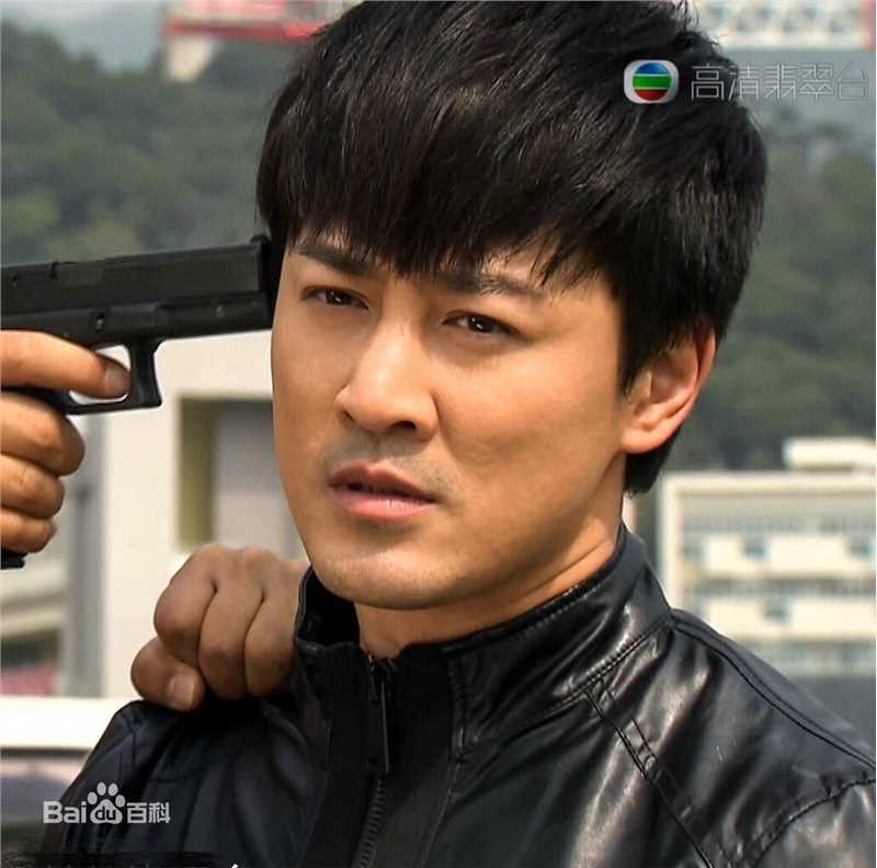 精选林峯/林峰(LAM Raymond)在《使徒行者》爆seed中的图册