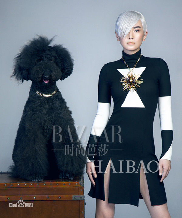 李媛(Li yuan)最全杂志大片壁纸