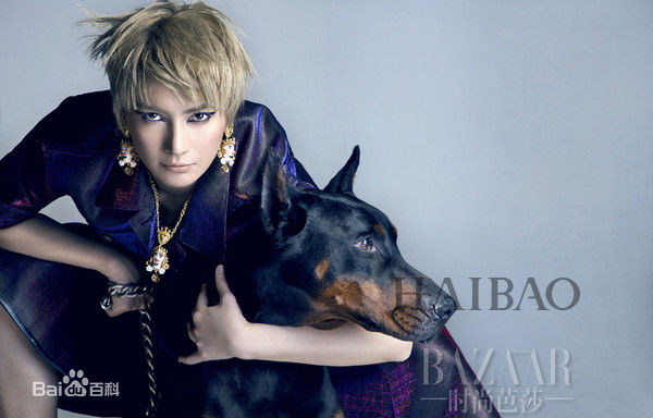 李媛(Li yuan)最全杂志大片壁纸