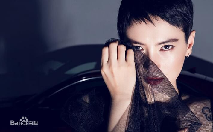 李媛(Li yuan)代言性感图片图集