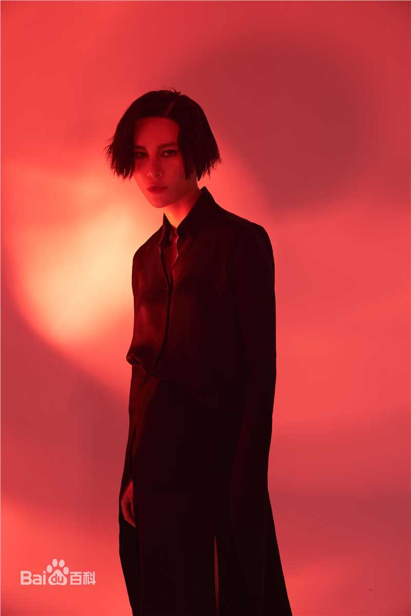 尚雯婕(Laure Shang)最全杂志封面相册