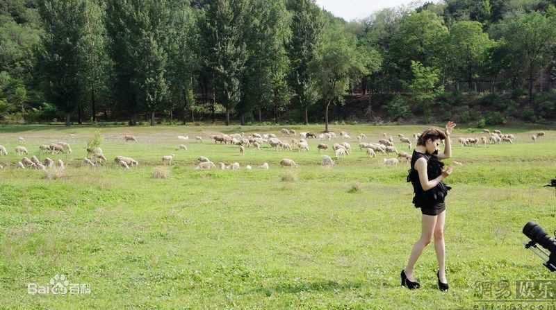 精选尚雯婕(Laure Shang)精彩图册