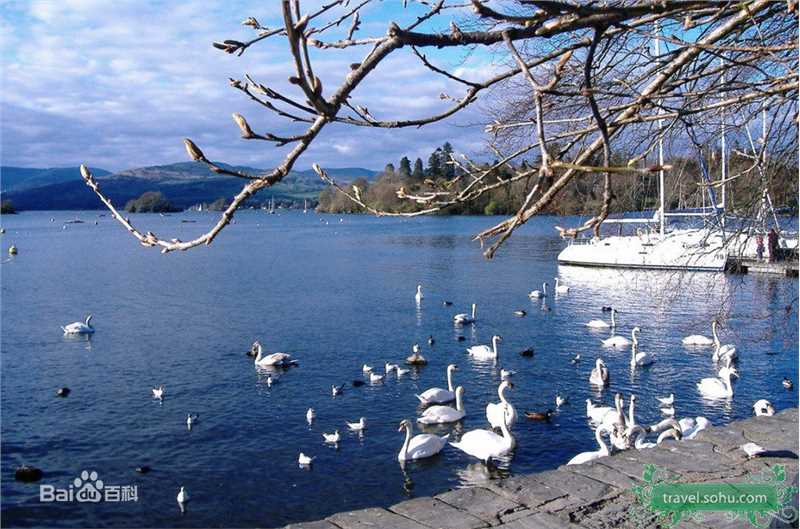 最新尚雯婕(Laure Shang)精彩图册