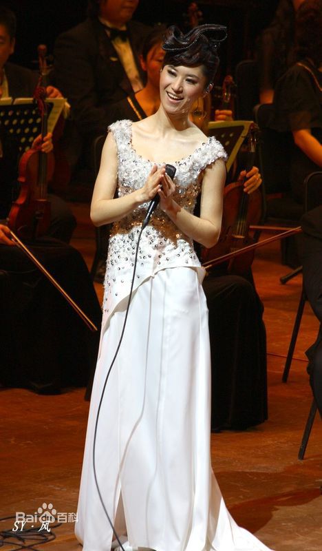 尚雯婕(Laure Shang)2009上海交响音乐会性感图片图集