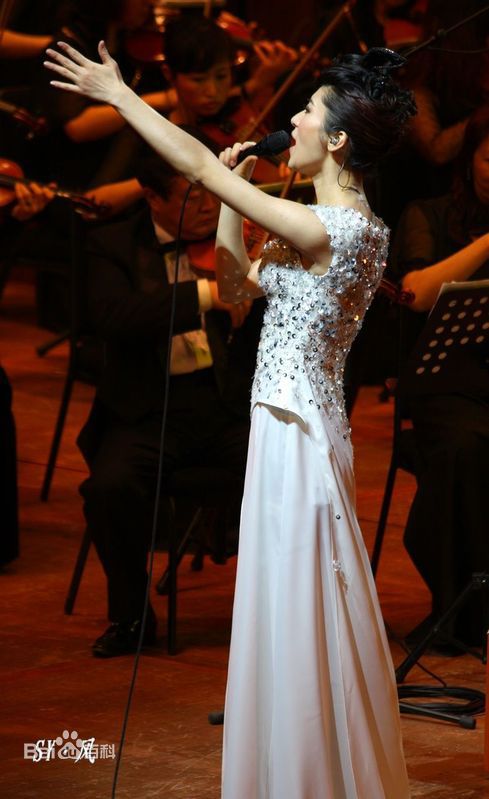 尚雯婕(Laure Shang)2009上海交响音乐会性感图片图集