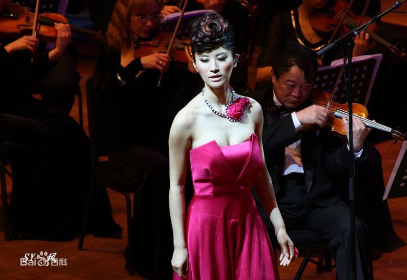 尚雯婕(Laure Shang)2009上海交响音乐会性感图片图集