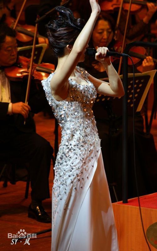 尚雯婕(Laure Shang)2009上海交响音乐会性感图片图集