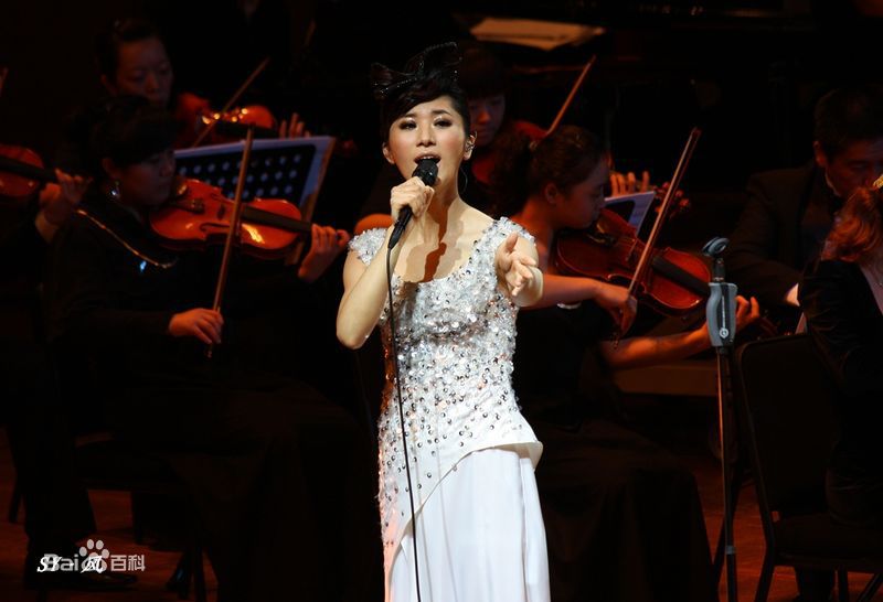 尚雯婕(Laure Shang)2009上海交响音乐会性感图片图集