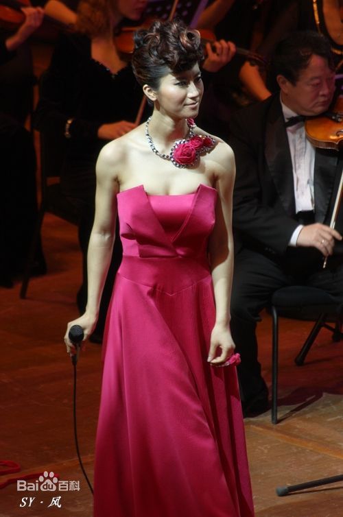 尚雯婕(Laure Shang)2009上海交响音乐会性感图片图集