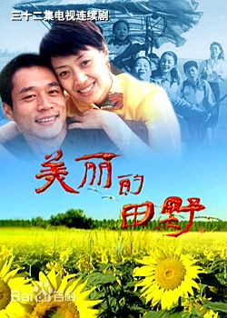 范志博出演的电视剧海报