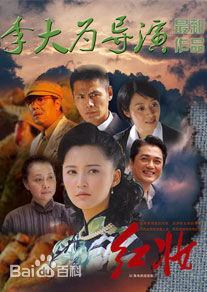 范志博出演的电视剧海报