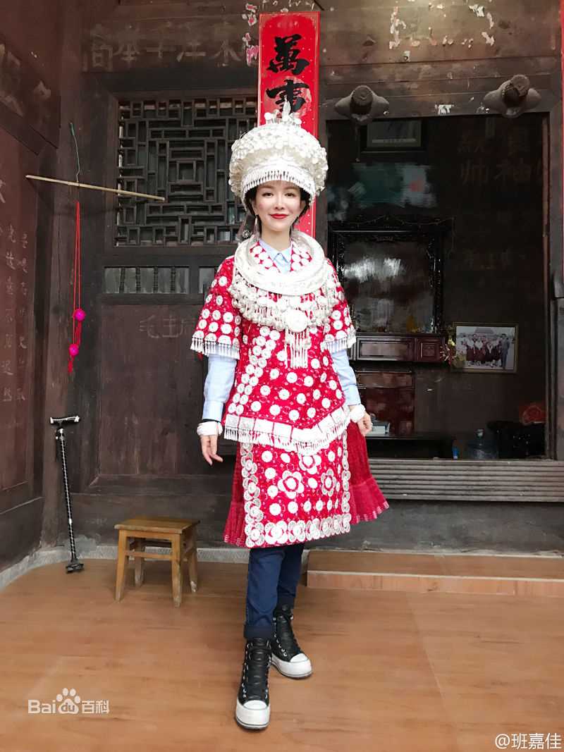 《班嘉佳》社会活动