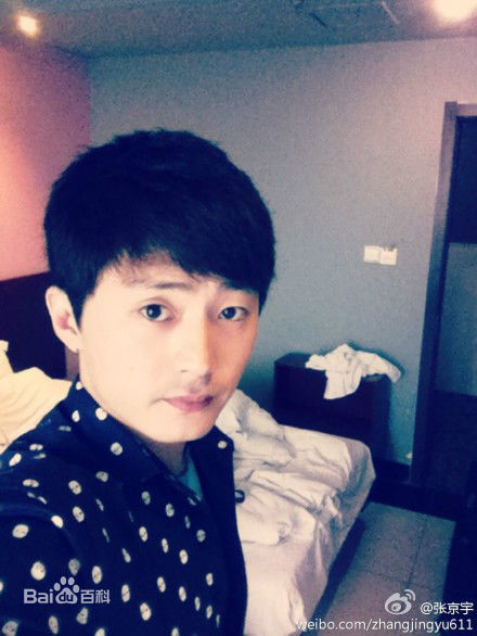 《张京宇》封面图片