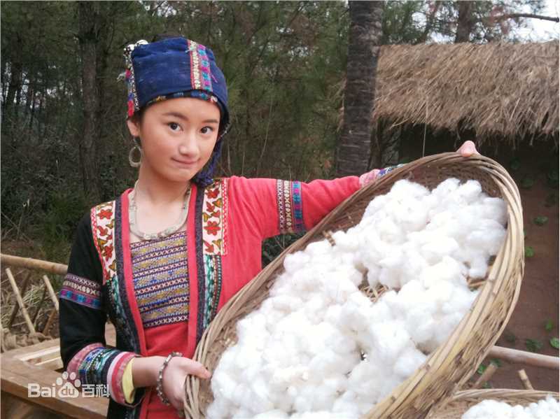 最全郭晓婷(Cristy)在电视剧《天涯织女》相关图片中的壁纸