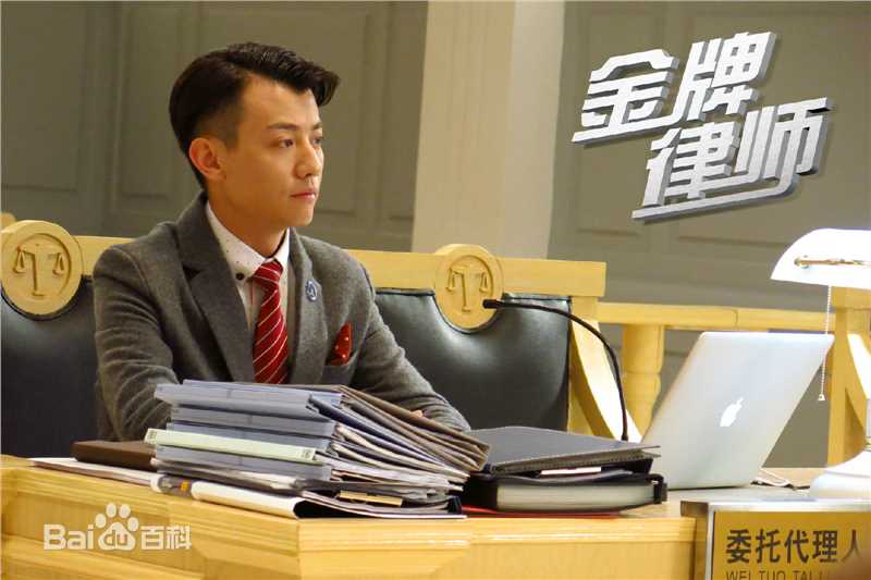 电视剧《金牌律师》剧照