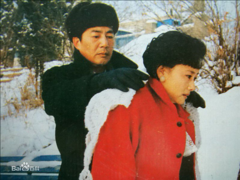 黄梅莹电视剧剧照