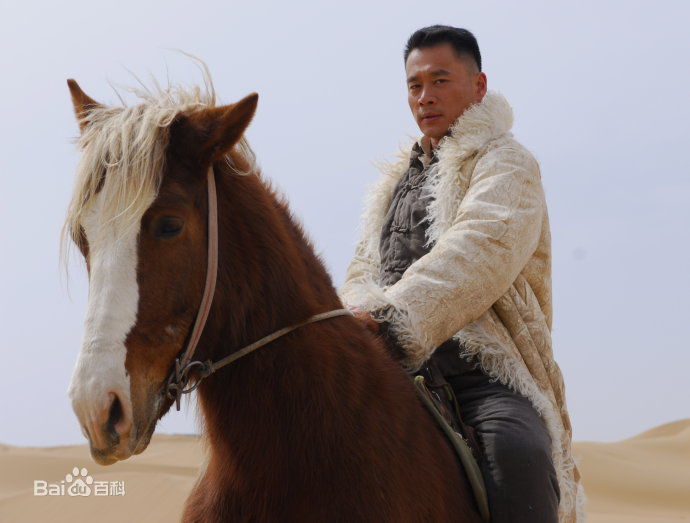 丁海峰(HaiFeng·Ding)剧照