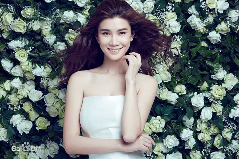 王笛(Wendy)精选花仙子图册