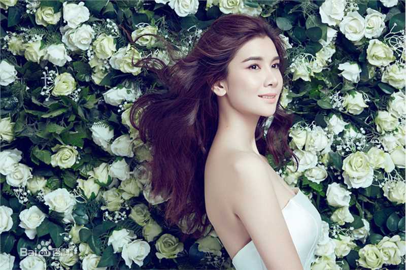 王笛(Wendy)精选花仙子图册