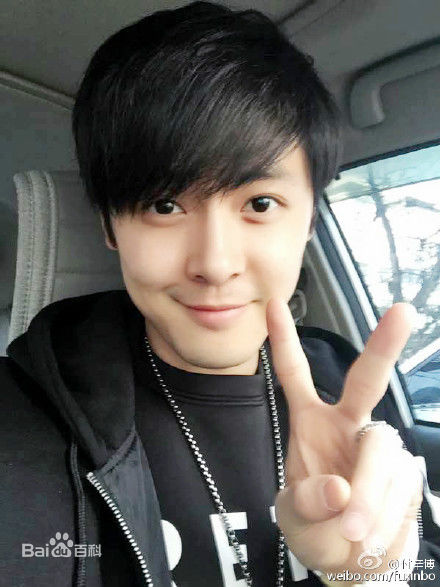 付辛博(Fu Xinbo)图册