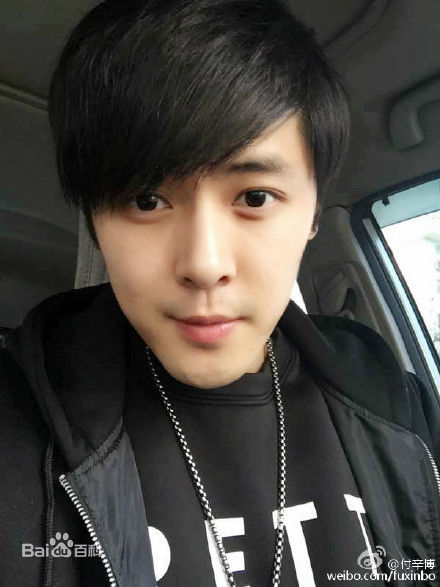 付辛博(Fu Xinbo)图册