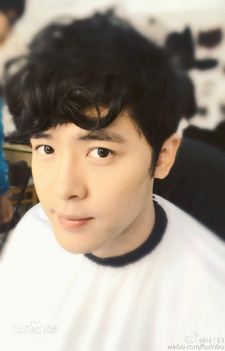 付辛博(Fu Xinbo)图册