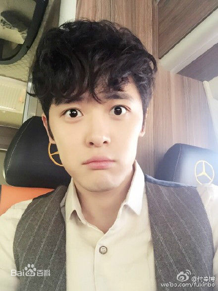 付辛博(Fu Xinbo)图册