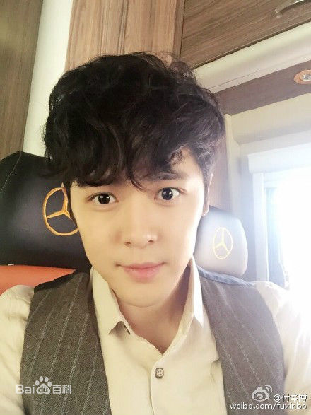 付辛博(Fu Xinbo)图册