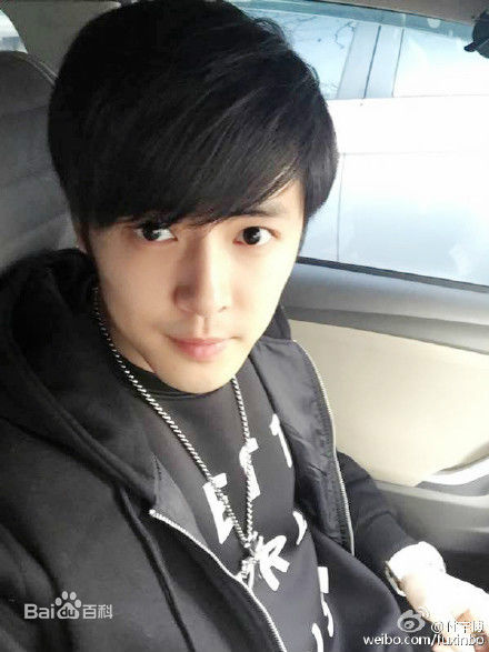 付辛博(Fu Xinbo)图册