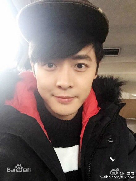 付辛博(Fu Xinbo)图册