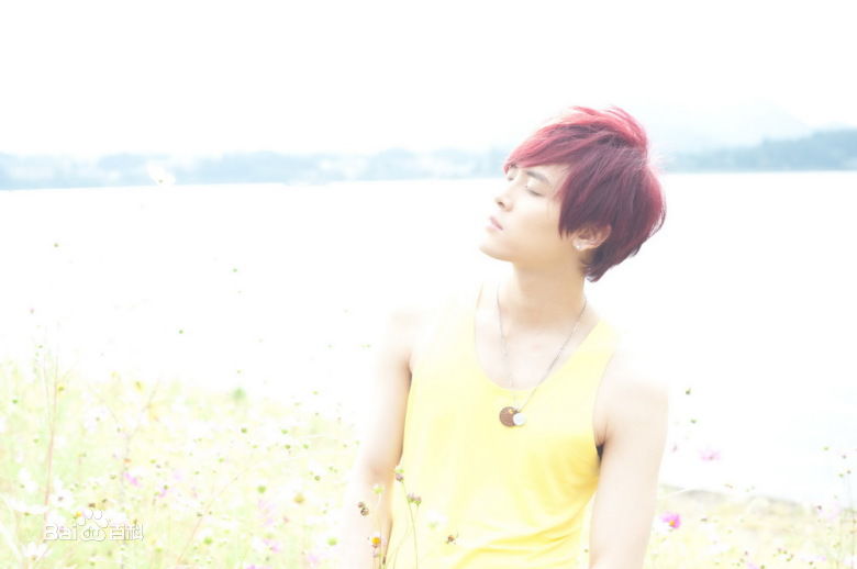 付辛博(Fu Xinbo)精彩图册