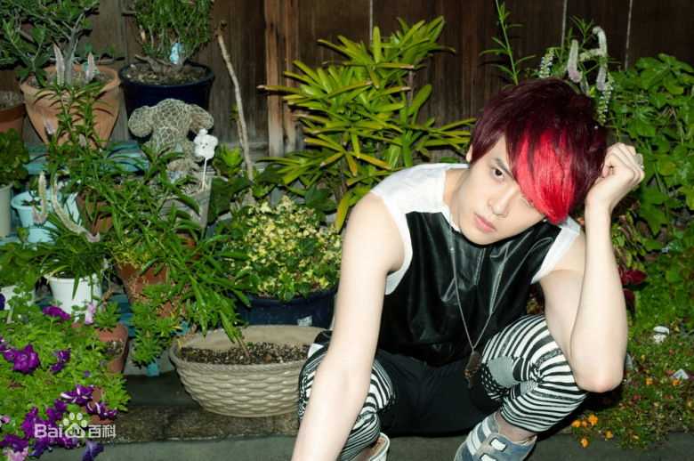 付辛博(Fu Xinbo)精彩图册