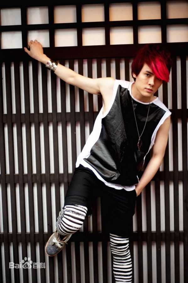 付辛博(Fu Xinbo)精彩图册