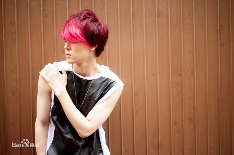 付辛博(Fu Xinbo)精彩图册