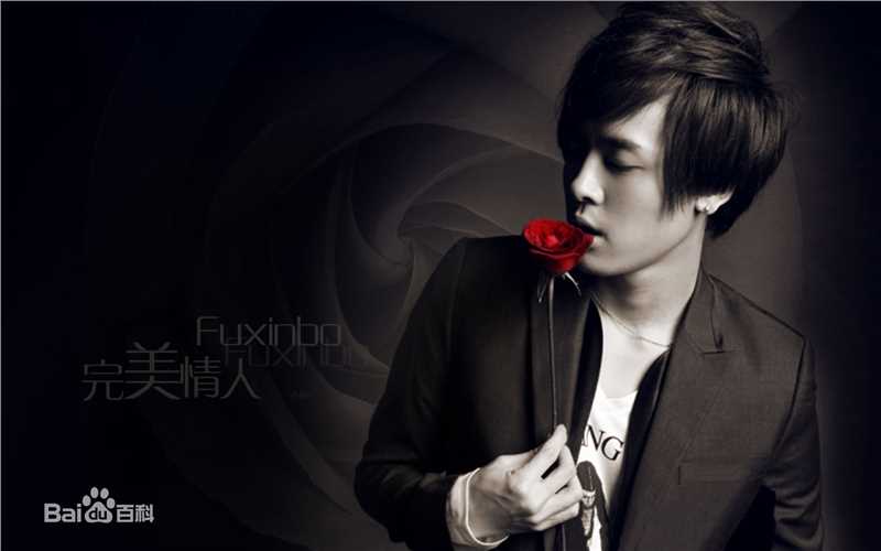 付辛博(Fu Xinbo)精彩图册