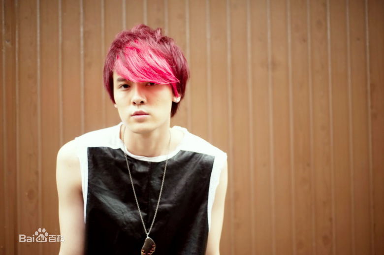 付辛博(Fu Xinbo)精彩图册