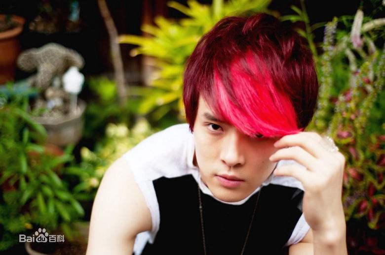 付辛博(Fu Xinbo)精彩图册