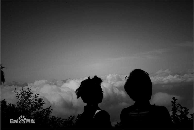 付辛博(Fu Xinbo)尚雯婕、《不能承受的爱》精选剧照