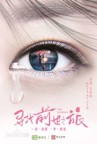 最全付辛博(Fu Xinbo)壁纸