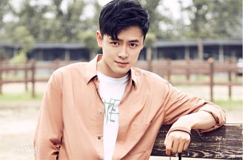 最全付辛博(Fu Xinbo)壁纸