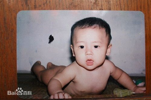 最全付辛博(Fu Xinbo)壁纸