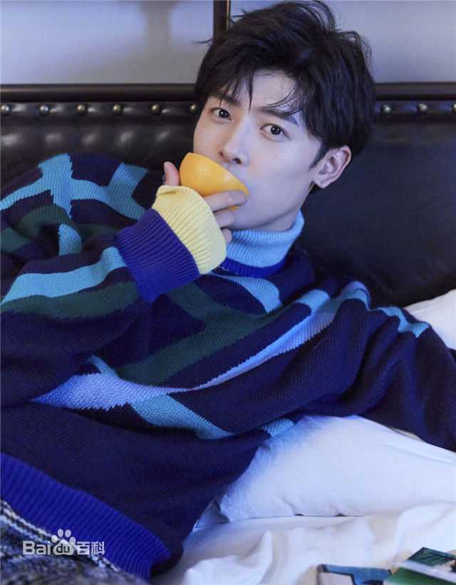 最全付辛博(Fu Xinbo)壁纸